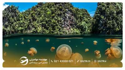 سفر به پالائو