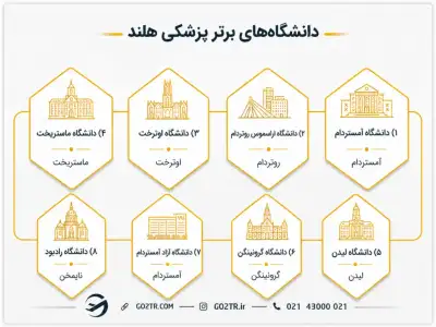 دانشگاه‌های برتر برای تحصیل پزشکی در هلند