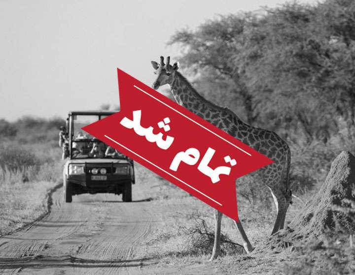 تور ویژه کنیا (بازدید از حیات وحش آفریقا)