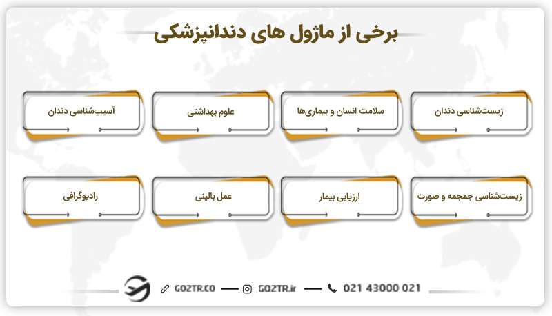 ساختار تحصیلی رشته دندانپزشکی
