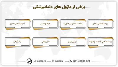 ساختار تحصیلی رشته دندانپزشکی