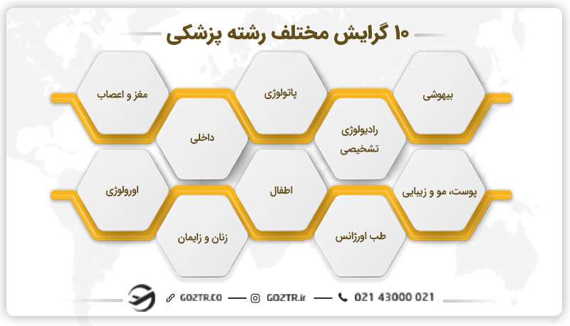 گرایش‌ های مختلف رشته پزشکی