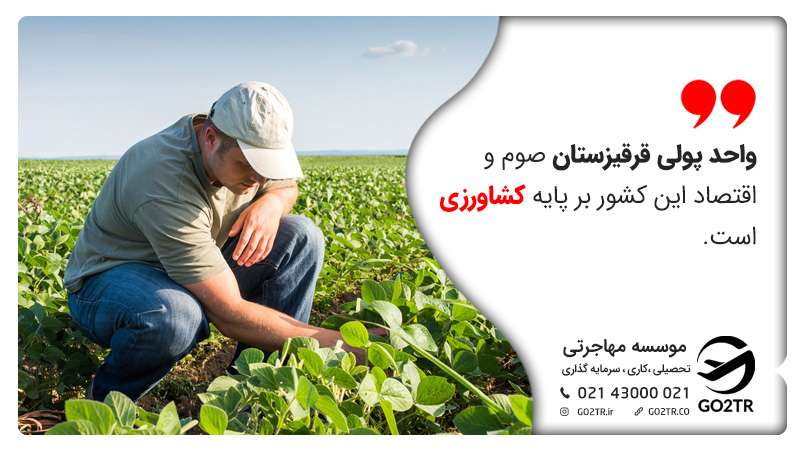 واحد پولی قرقیزستان صوم و اقتصاد این کشور بر پایه کشاورزی است. زندگی در قرقیزستان