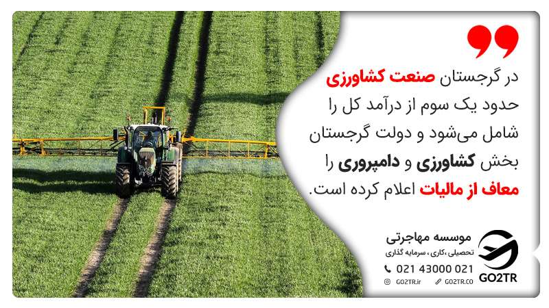 وضعیت اقتصادی کشور گرجستان