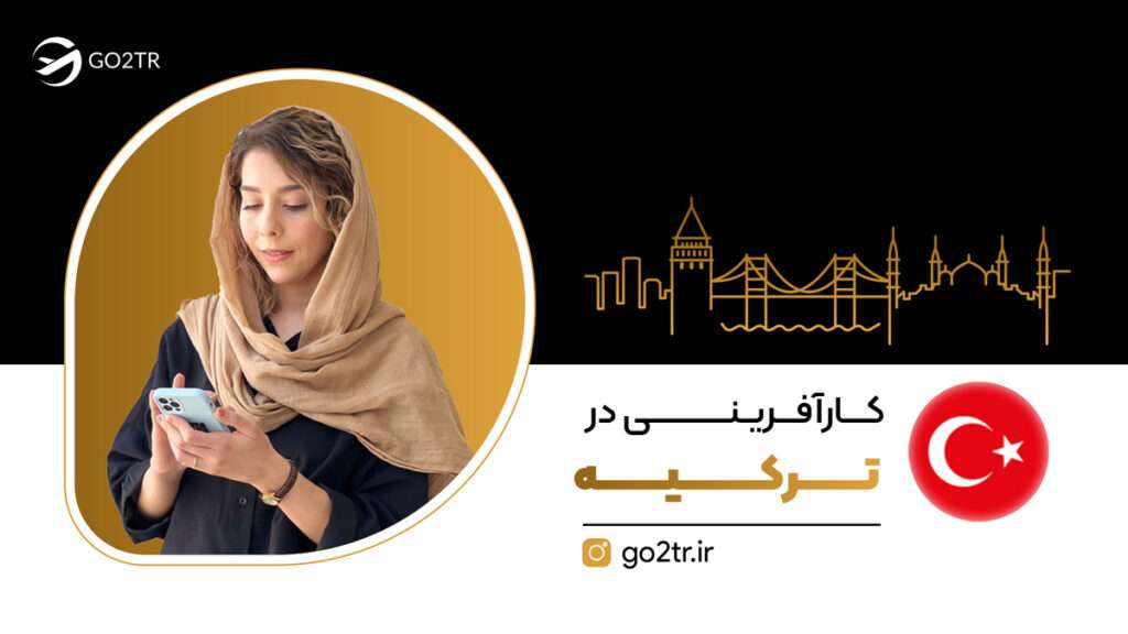 کارآفرینی در ترکیه