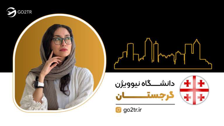 دانشگاه نیوویژن گرجستان