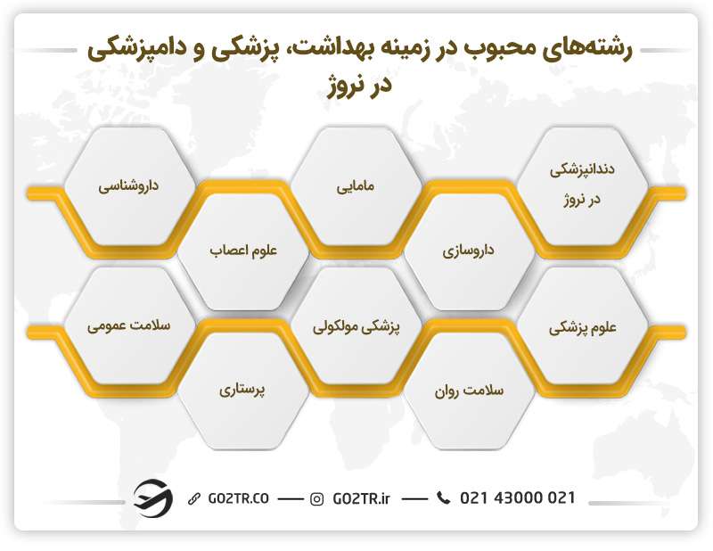 رشتههای محبوب در زمینه بهداشت، پزشکی و دامپزشکی در نروژ