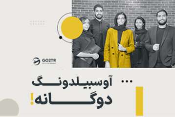 آوسبیلدونگ دوگانه