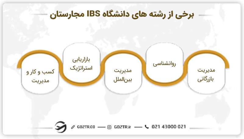 برخی از رشتههای دانشگاه IBS مجارستان