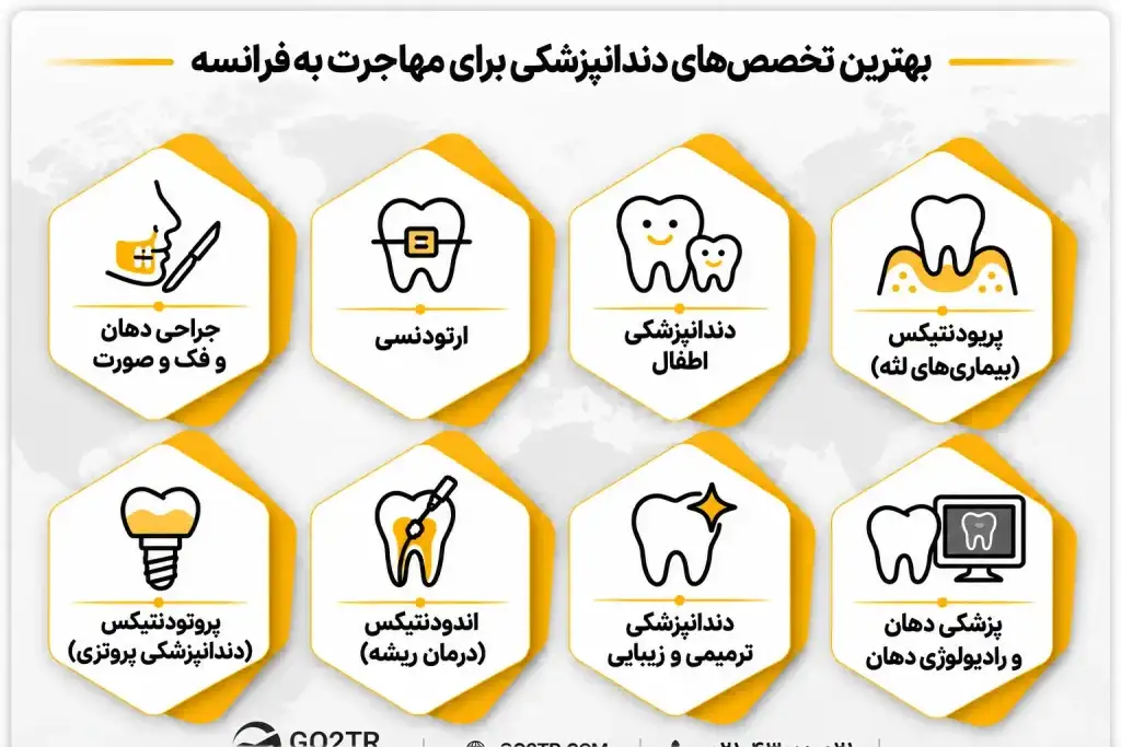 بهترین تخصص ها برای مهاجرت دندانپزشکان به فرانسه