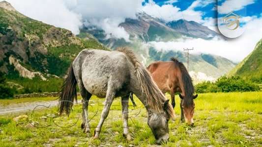 جاذبه های طبیعی در نپال